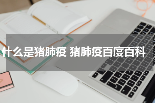 什么是猪肺疫 猪肺疫百度百科