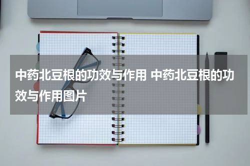 中药北豆根的功效与作用 中药北豆根的功效与作用图片