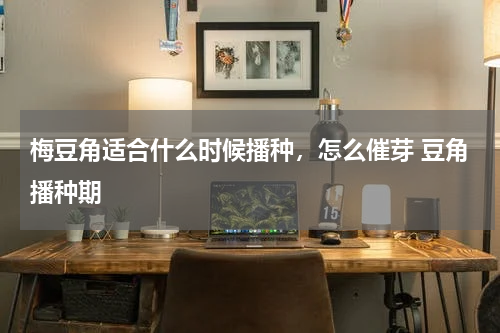 梅豆角适合什么时候播种，怎么催芽 豆角播种期