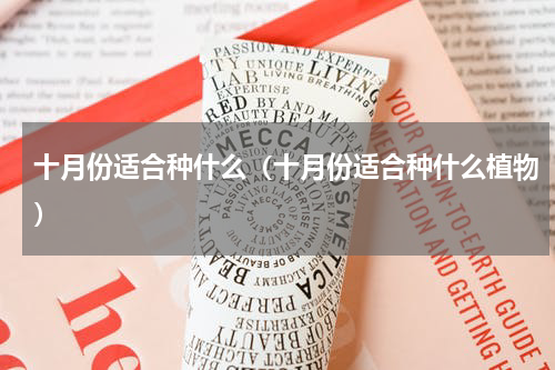 十月份适合种什么（十月份适合种什么植物）