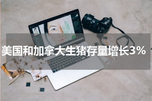 美国和加拿大生猪存量增长3%
