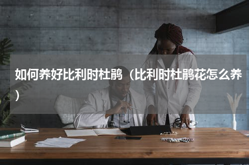 如何养好比利时杜鹃（比利时杜鹃花怎么养）