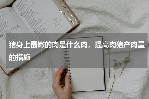 猪身上最嫩的肉是什么肉，提高肉猪产肉量的措施