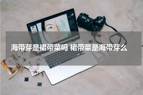 海带芽是裙带菜吗 裙带菜是海带芽么