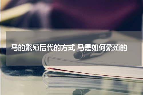 马的繁殖后代的方式 马是如何繁殖的