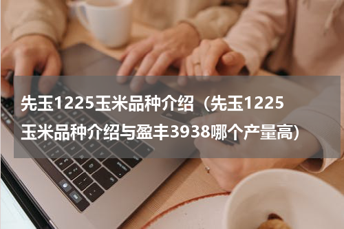 先玉1225玉米品种介绍（先玉1225玉米品种介绍与盈丰3938哪个产量高）