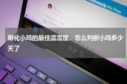 孵化小鸡的最佳温湿度，怎么判断小鸡多少天了