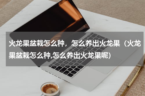 火龙果盆栽怎么种，怎么养出火龙果（火龙果盆栽怎么种,怎么养出火龙果呢）