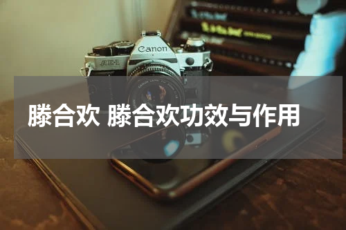 滕合欢 滕合欢功效与作用