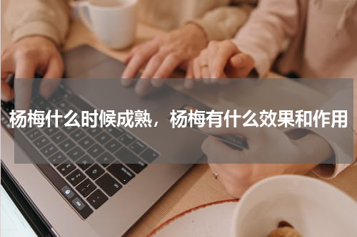 杨梅什么时候成熟，杨梅有什么效果和作用