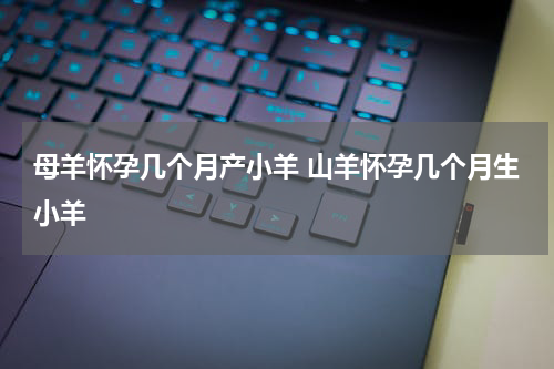 母羊怀孕几个月产小羊 山羊怀孕几个月生小羊