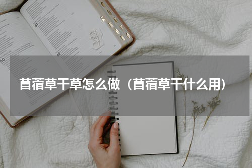 苜蓿草干草怎么做（苜蓿草干什么用）