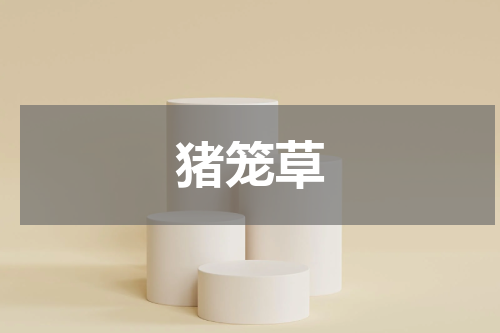 猪笼草
