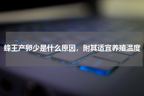 蜂王产卵少是什么原因，附其适宜养殖温度