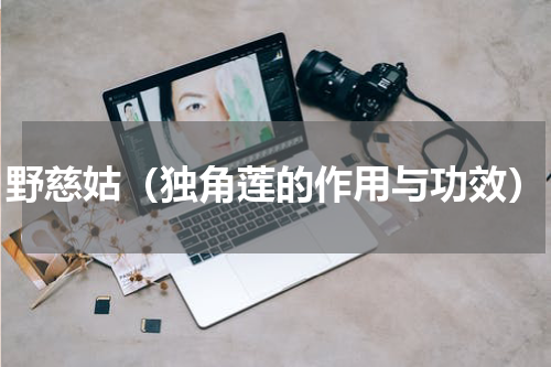 野慈姑（独角莲的作用与功效）