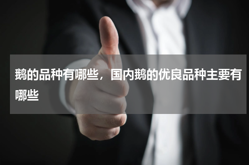 鹅的品种有哪些，国内鹅的优良品种主要有哪些