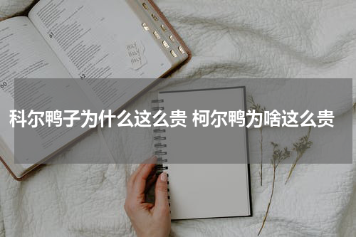 科尔鸭子为什么这么贵 柯尔鸭为啥这么贵