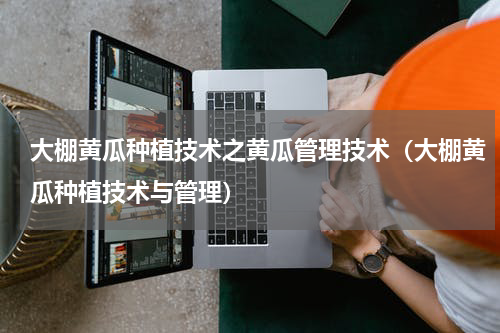 大棚黄瓜种植技术之黄瓜管理技术（大棚黄瓜种植技术与管理）