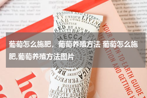 葡萄怎么施肥，葡萄养殖方法 葡萄怎么施肥,葡萄养殖方法图片