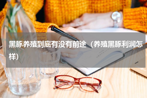 黑豚养殖到底有没有前途（养殖黑豚利润怎样）