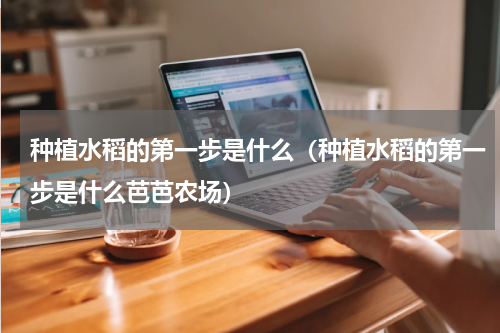 种植水稻的第一步是什么（种植水稻的第一步是什么芭芭农场）