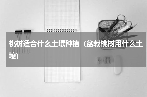 桃树适合什么土壤种植（盆栽桃树用什么土壤）