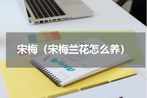 宋梅（宋梅兰花怎么养）