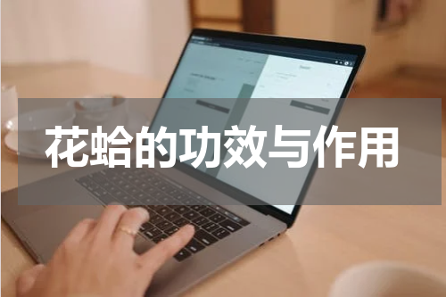 花蛤的功效与作用