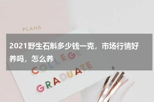2021野生石斛多少钱一克，市场行情好养吗，怎么养