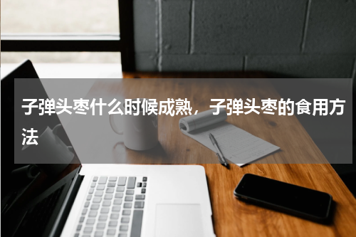 子弹头枣什么时候成熟，子弹头枣的食用方法