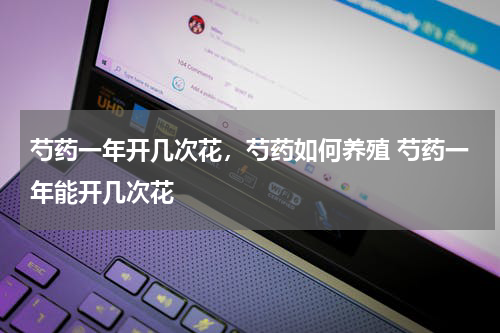 芍药一年开几次花，芍药如何养殖 芍药一年能开几次花
