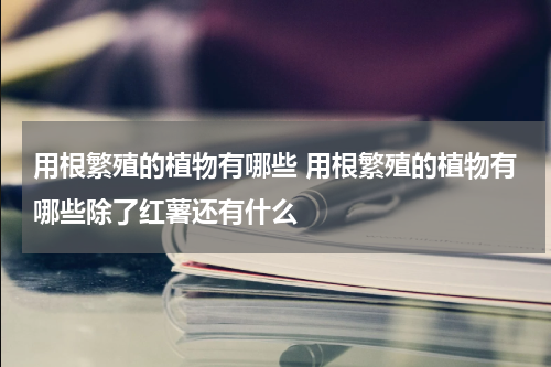 用根繁殖的植物有哪些 用根繁殖的植物有哪些除了红薯还有什么