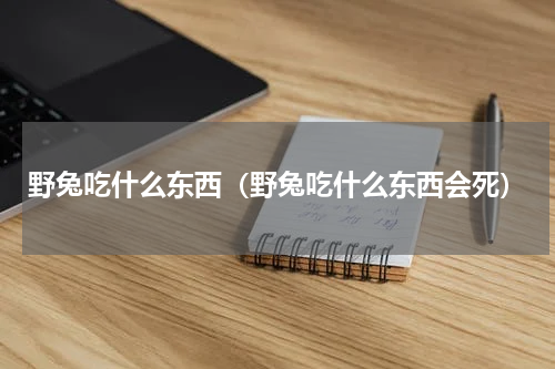 野兔吃什么东西（野兔吃什么东西会死）