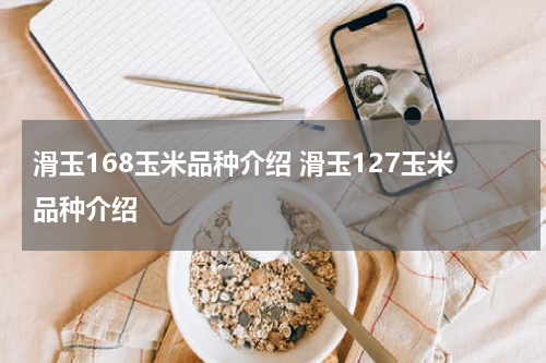 滑玉168玉米品种介绍 滑玉127玉米品种介绍
