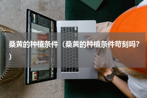 桑黄的种植条件（桑黄的种植条件苛刻吗?）
