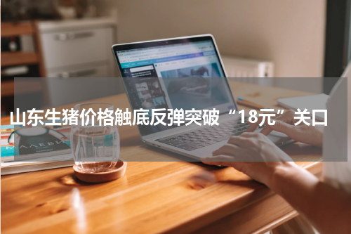 山东生猪价格触底反弹突破“18元”关口