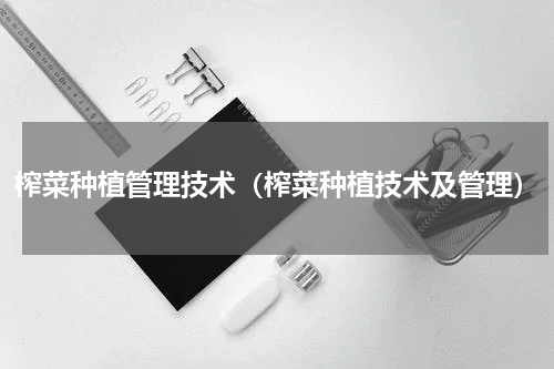 榨菜种植管理技术（榨菜种植技术及管理）