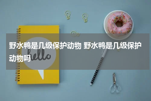 野水鸭是几级保护动物 野水鸭是几级保护动物吗