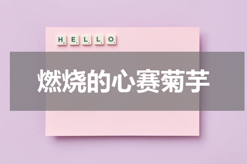 燃烧的心赛菊芋