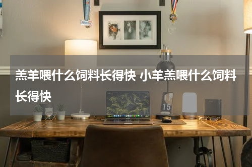 羔羊喂什么饲料长得快 小羊羔喂什么饲料长得快