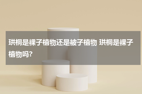 珙桐是裸子植物还是被子植物 珙桐是裸子植物吗?