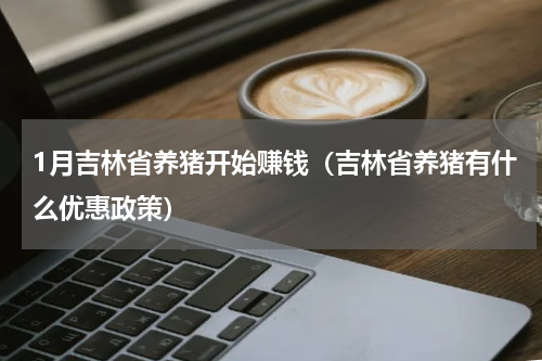 1月吉林省养猪开始赚钱（吉林省养猪有什么优惠政策）