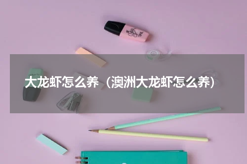 大龙虾怎么养（澳洲大龙虾怎么养）