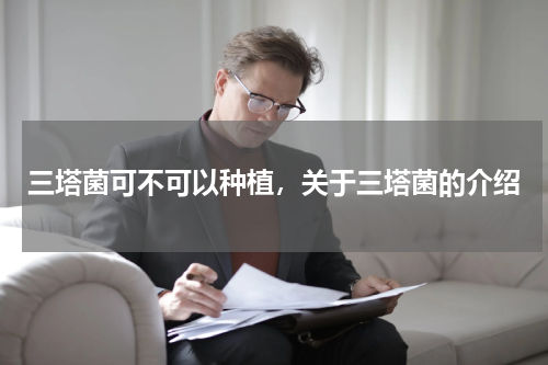 三塔菌可不可以种植，关于三塔菌的介绍