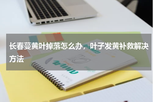 长春蔓黄叶掉落怎么办，叶子发黄补救解决方法