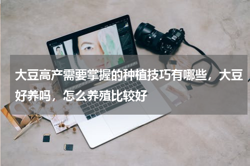 大豆高产需要掌握的种植技巧有哪些，大豆好养吗，怎么养殖比较好