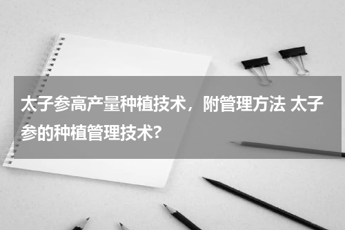 太子参高产量种植技术，附管理方法 太子参的种植管理技术?