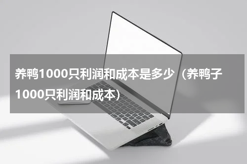 养鸭1000只利润和成本是多少（养鸭子1000只利润和成本）
