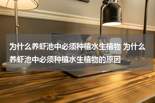 为什么养虾池中必须种植水生植物 为什么养虾池中必须种植水生植物的原因