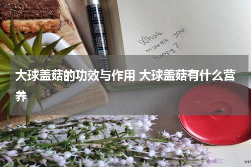 大球盖菇的功效与作用 大球盖菇有什么营养
